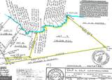 0 Hickory Nut Trail - Photo 12