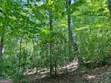 0 Hickory Nut Trail - Photo 2
