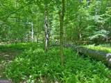 0 Hickory Nut Trail - Photo 4
