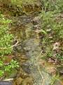 0 Hickory Nut Trail - Photo 5