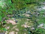 0 Hickory Nut Trail - Photo 6