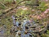 0 Hickory Nut Trail - Photo 7