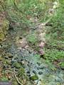 0 Hickory Nut Trail - Photo 8