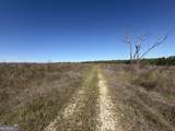 2638 Henderson Grove Road - Photo 35