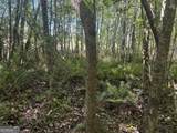 2638 Henderson Grove Road - Photo 37