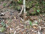 1806 Browning Road - Photo 24