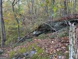 1806 Browning Road - Photo 34