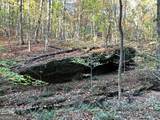 1806 Browning Road - Photo 69