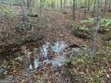 1806 Browning Road - Photo 80