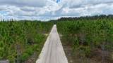 17 AC Owens Road - Photo 2