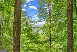 LT 30 Mountainside Drive - Photo 8
