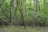 3 Mount Moriah Road - Photo 15