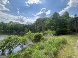 0 Cub Trail - Photo 10