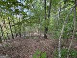 0 Cub Trail - Photo 13