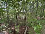 0 Cub Trail - Photo 17