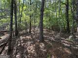 0 Cub Trail - Photo 3