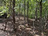 0 Cub Trail - Photo 4