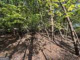 0 Cub Trail - Photo 6