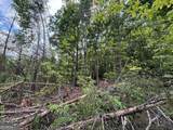 0 Cub Trail - Photo 7