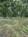0 Tennille Harrison Road - Photo 10