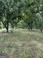 0 Tennille Harrison Road - Photo 11