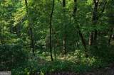 115 Carters Overlook - Photo 3