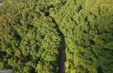 115 Carters Overlook - Photo 7