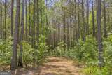 0 Anderson Highway - Photo 43