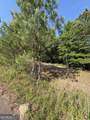 0 Anna Claire Court - Photo 10