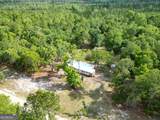 110 Douglas Loop - Photo 34