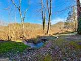 462 River Vista Drive - Photo 4