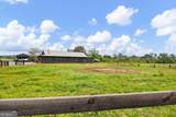 215 Erwin Road - Photo 54