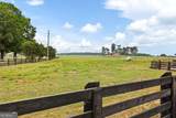 215 Erwin Road - Photo 55