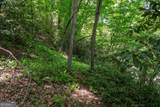 3675 Us 19 - Photo 35