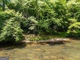 3675 Us 19 - Photo 39