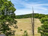 3675 Us 19 - Photo 56