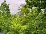 895 Newman Court - Photo 6