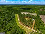 88 Minnesota Road - Photo 4
