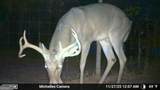 88 Minnesota Road - Photo 50