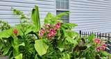 306 Hutchinson Farms Road - Photo 55