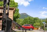 165 Stag Leap Drive - Photo 26