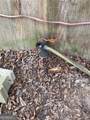 320 Old Perry Road - Photo 26