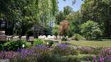 2460 Peachtree Road - Photo 14