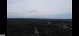 4950 Hwy 155 North - Photo 10