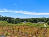 2317 Hwy 382 - Photo 38