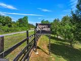 2317 Hwy 382 - Photo 48