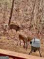 85 Flat Top Trail - Photo 28