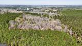 403 ACRES Youngs Farm Road - Photo 10