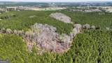 403 ACRES Youngs Farm Road - Photo 11