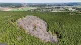 403 ACRES Youngs Farm Road - Photo 12